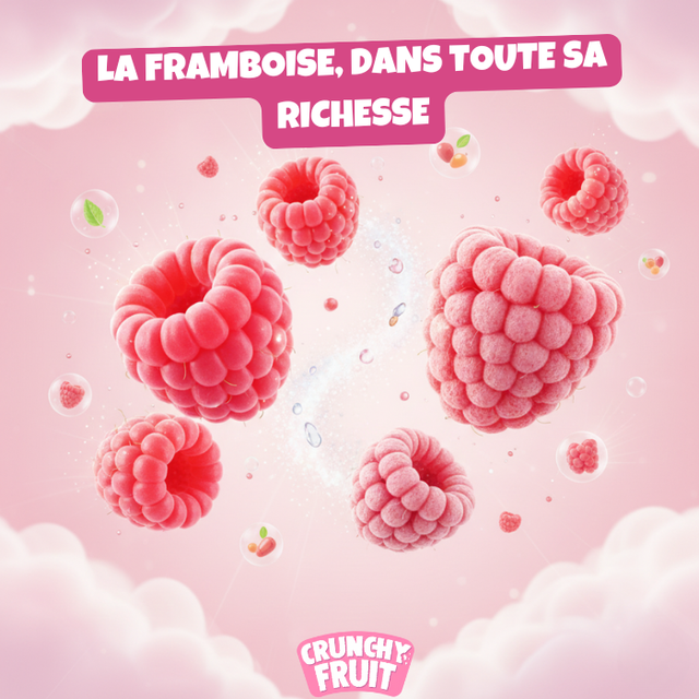 fruta-crujiente-framboise-fruit-lyophilis-30-g image 6