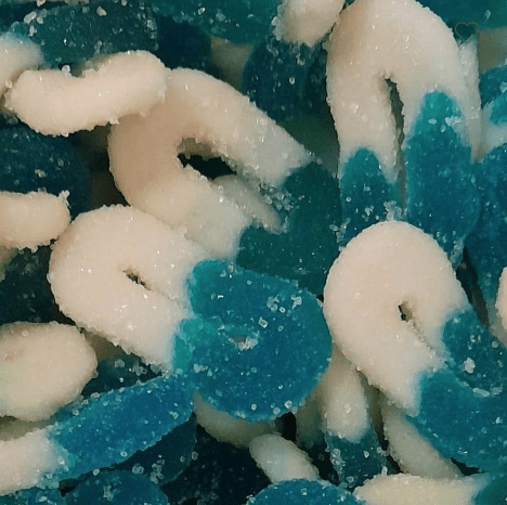 sweet-halal-vegan-en-vrac-rondelle-blanche-et-bleue-bonbon-vegan image 1