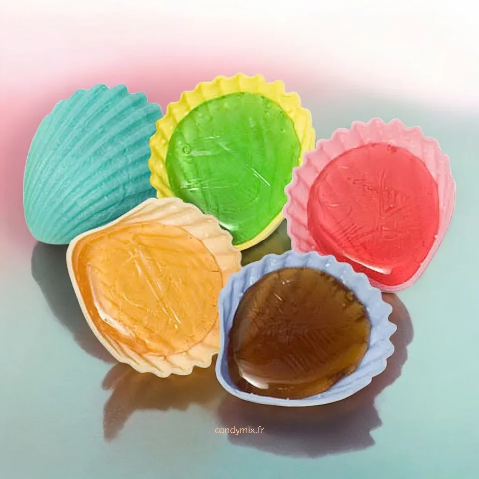roudoudou-bonbon-coquillage-r-tro-l-unit-10g-fruit image 1