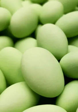 sweet-halal-vegan-drag-es-amande-drag-e-vert-clair-vanille image 1
