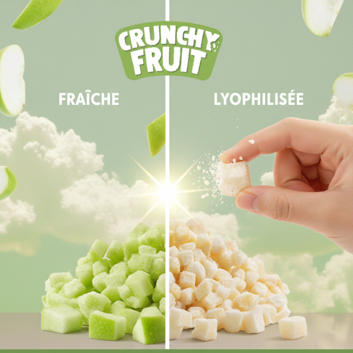 crunchyfruit-pomme-lyophilis-e-snack-croustillant-30g image 2